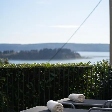 Feral בפורטורוז